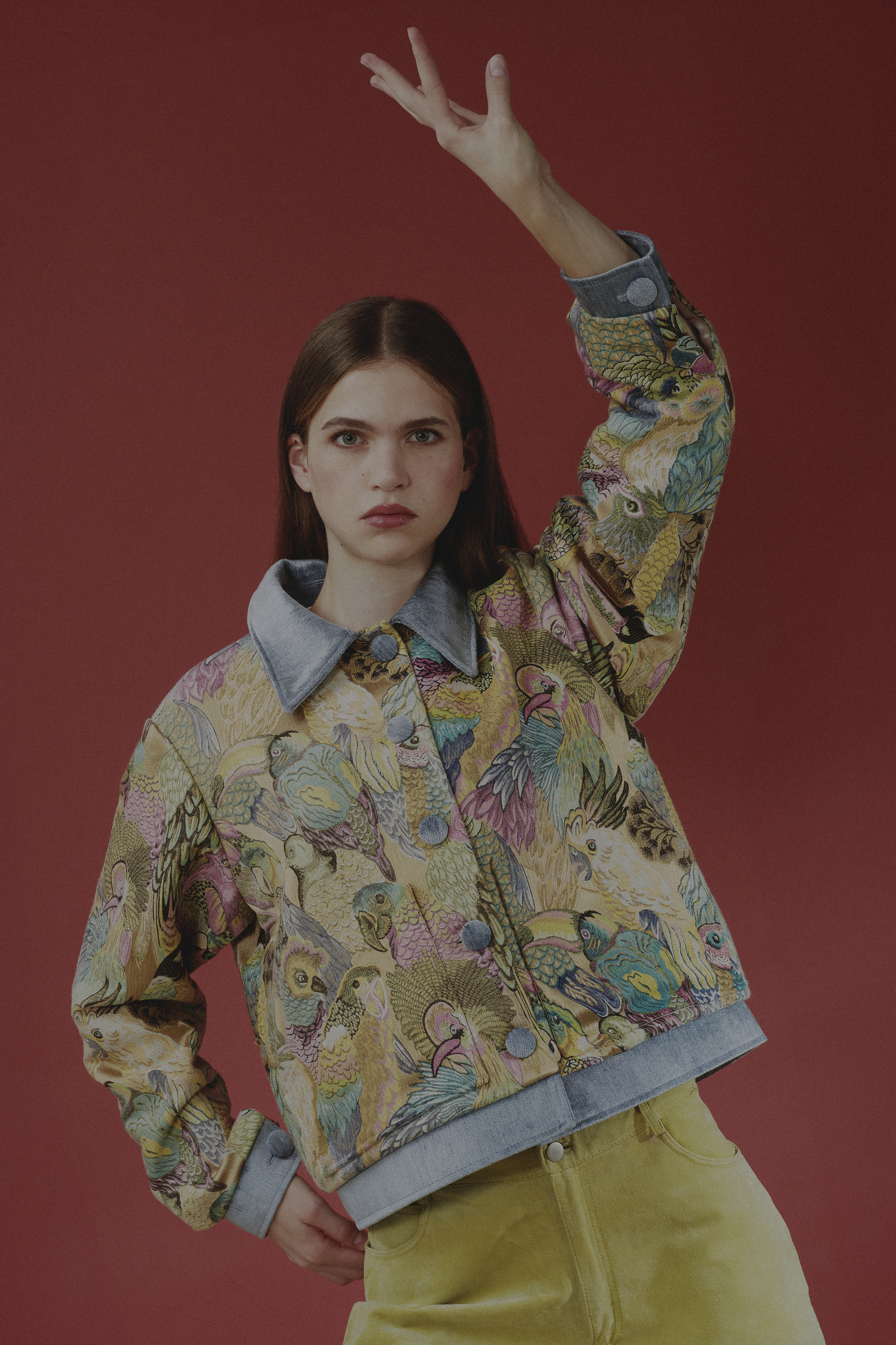 VESTE ARA